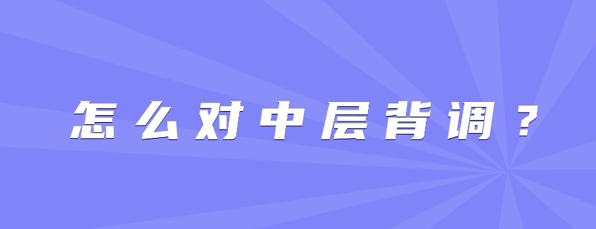 怎么对中层背调？